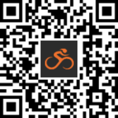 Day 3 – THE One Love Century – It's the Big Day